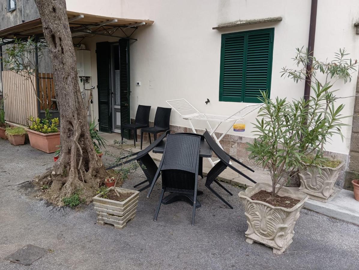 La Casina Fra Gli Olivi Villa Massarosa Exteriör bild
